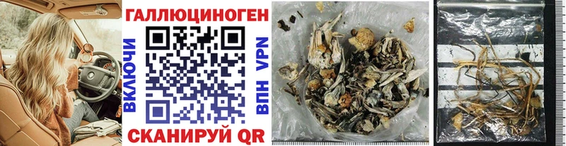 Галлюциногенные грибы MAGIC MUSHROOMS  Теберда 
